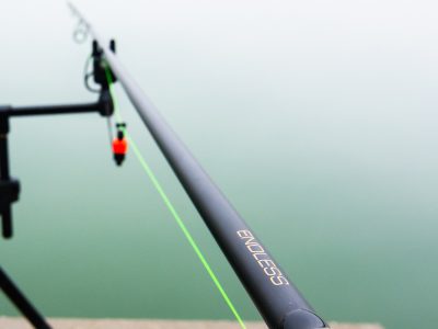 carp-academy-endless-carp-pontyozo-bot-5